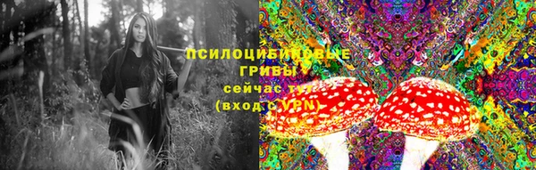 стафф Богданович